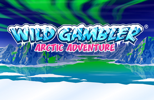 Wild Gambler: Arctic Adventure